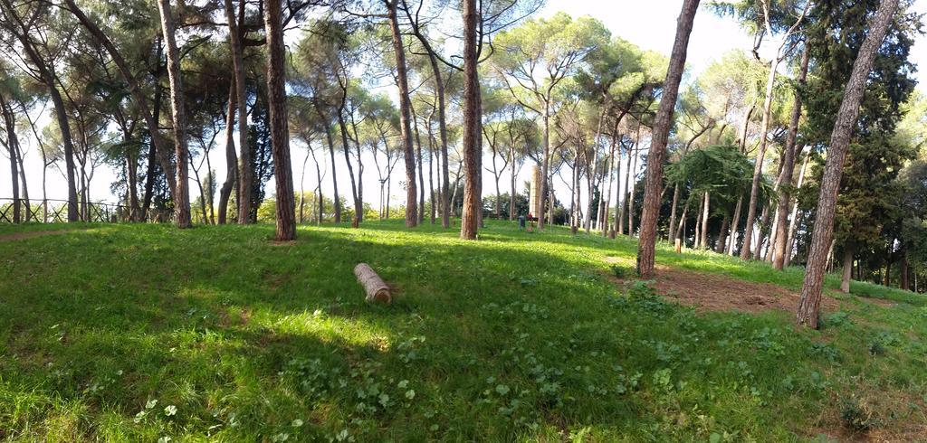 Holiday Home Roma 部屋 写真